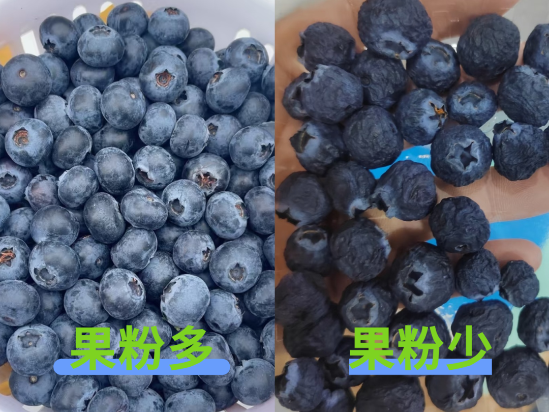 微信图片_20260304092508.png
