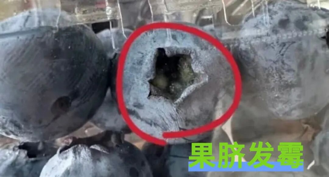 微信图片_20260304092513.png