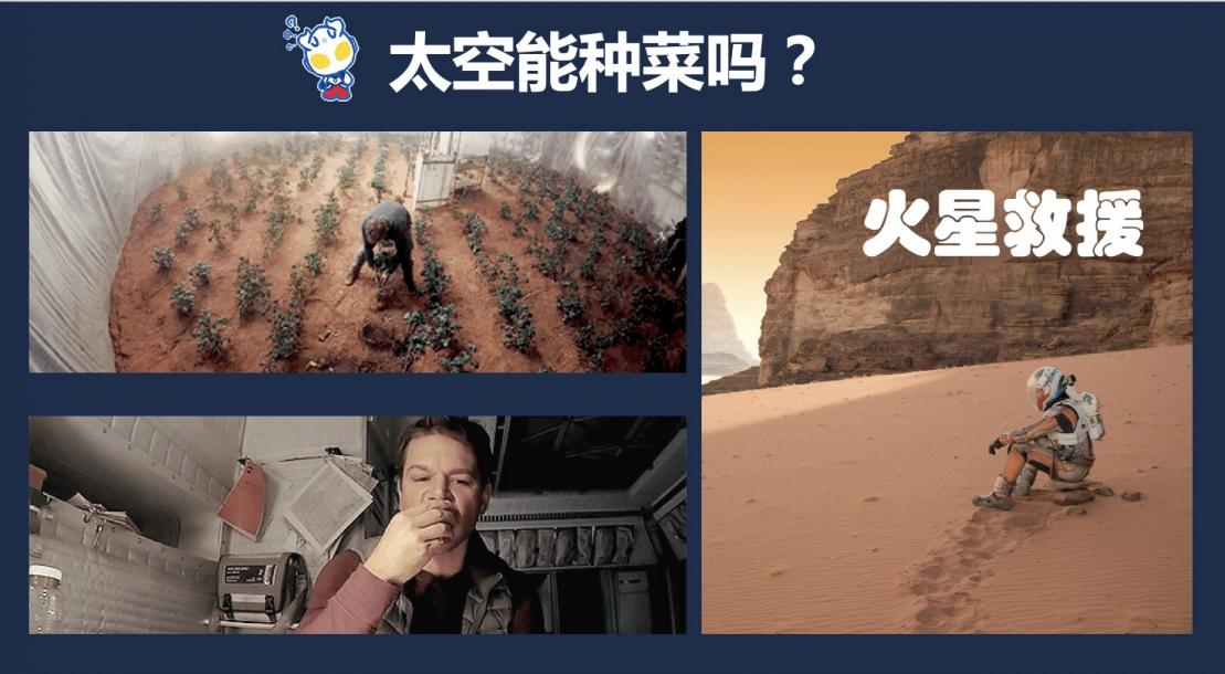图片14.png
