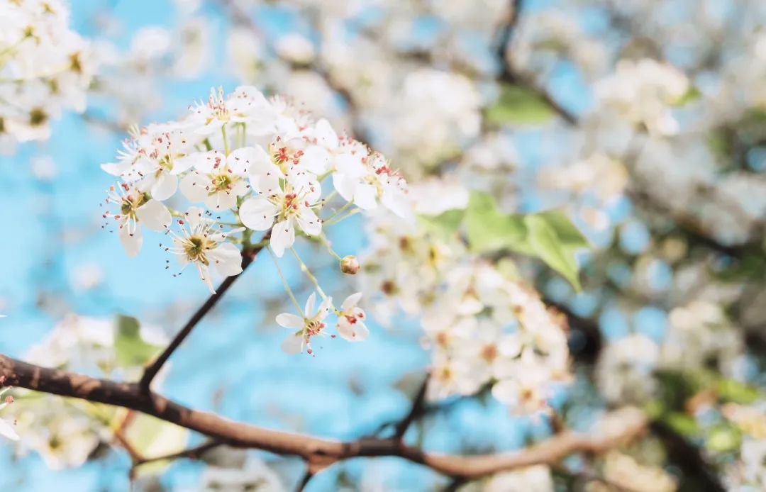 11017c67-d670-4d24-b36f-25db8009007a.png