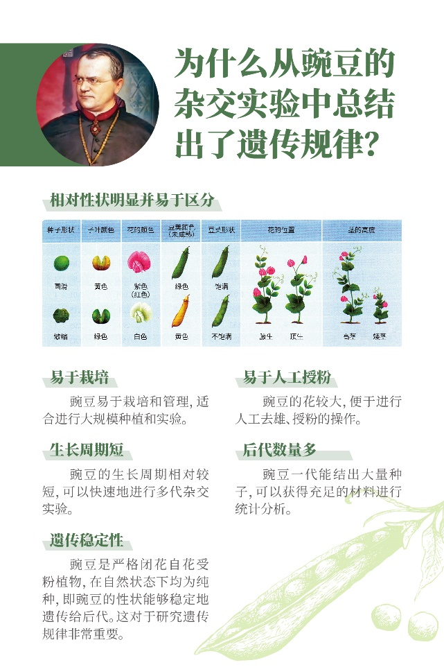 图片 3.png