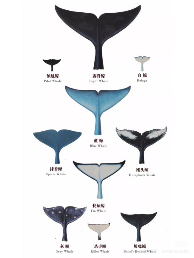 640 (1).png